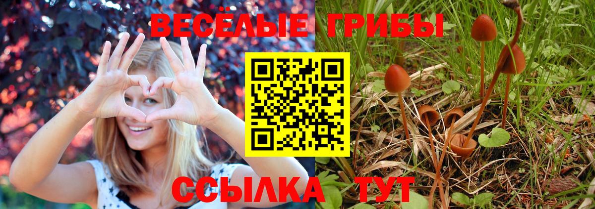 Псилоцибиновые грибы мицелий Малгобек