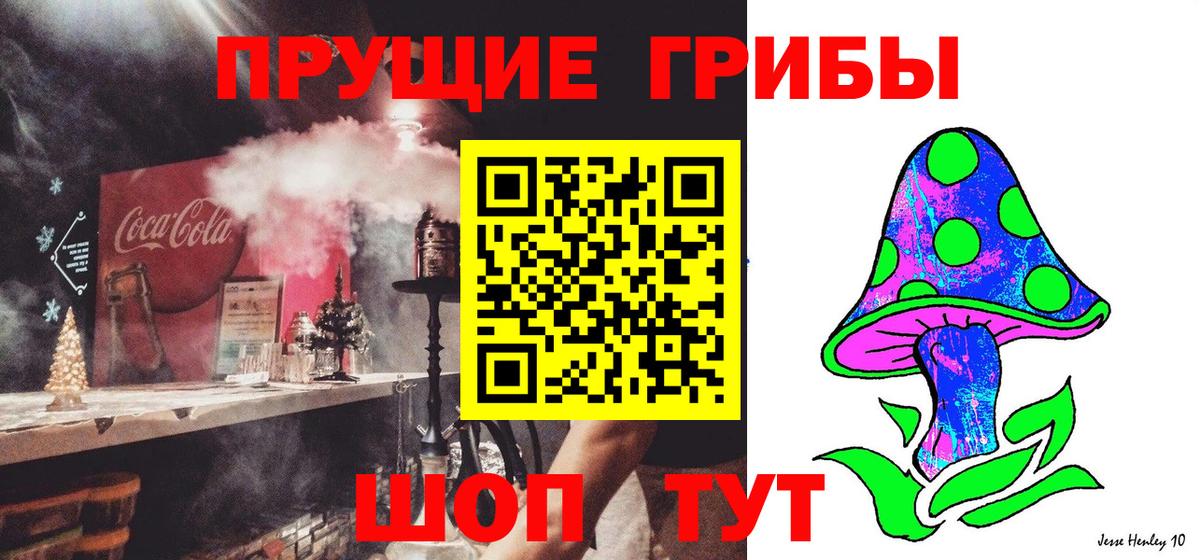 Псилоцибиновые грибы Cubensis  Галлюциногенные грибы мухоморы  Малгобек  Вход с VPN 